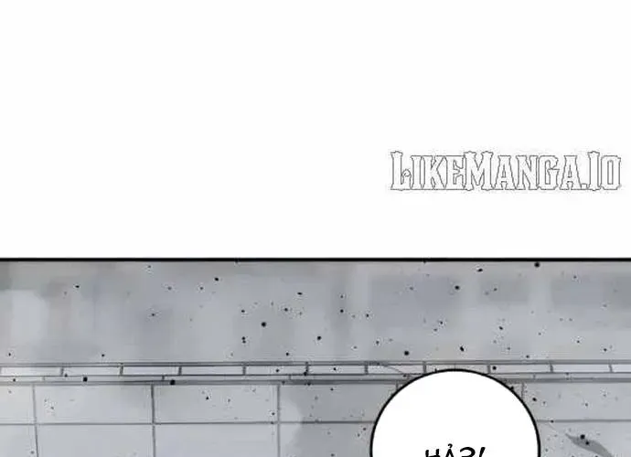 Kẻ Giết Anh Hùng Chap 239 - Next Chap 240