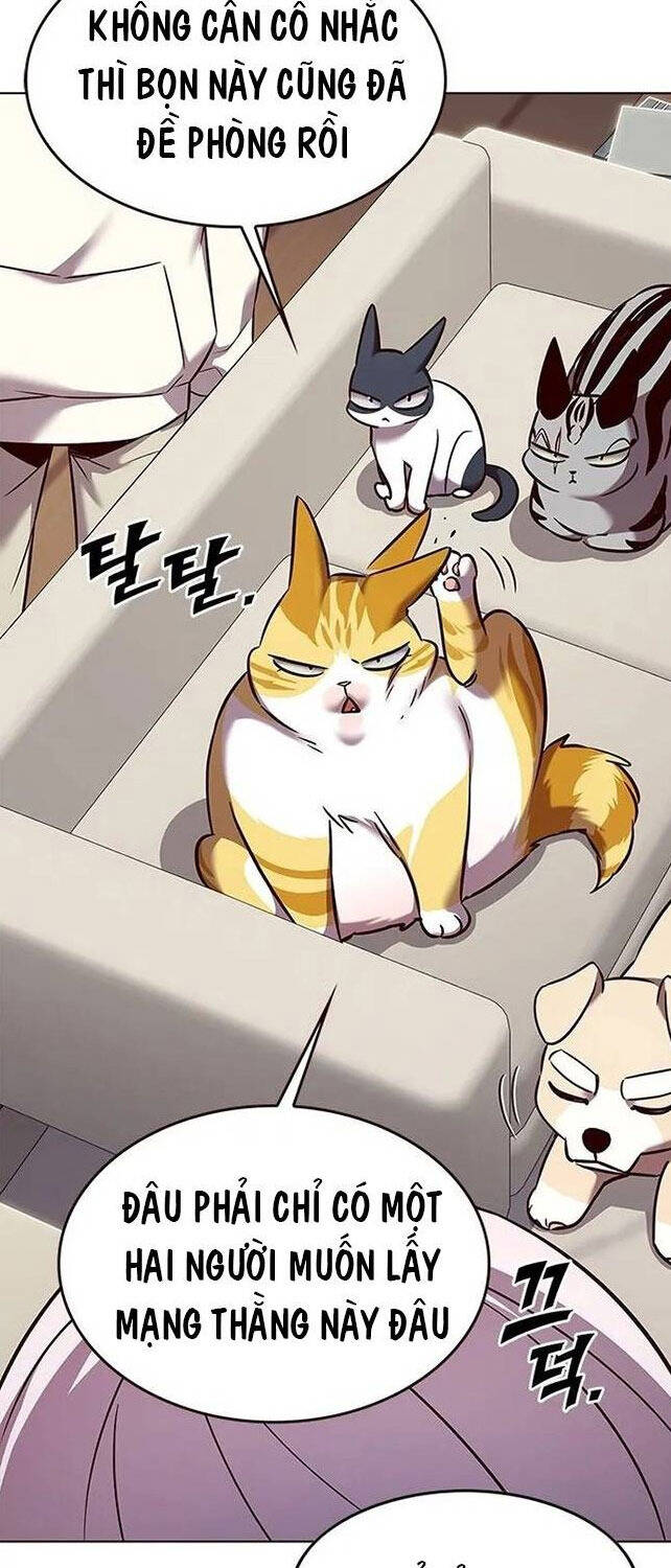 Hoá Thân Thành Mèo Chap 308 - Next Chap 309