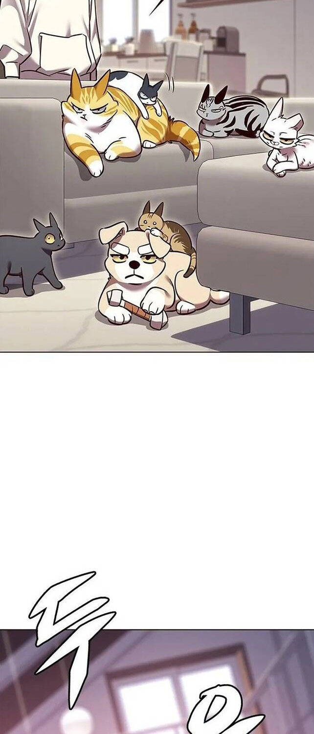 Hoá Thân Thành Mèo Chap 308 - Next Chap 309