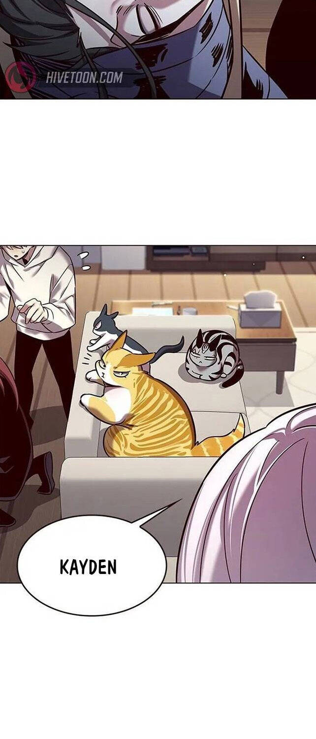 Hoá Thân Thành Mèo Chap 308 - Next Chap 309