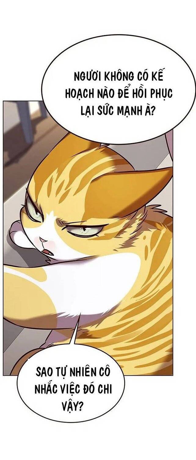 Hoá Thân Thành Mèo Chap 308 - Next Chap 309