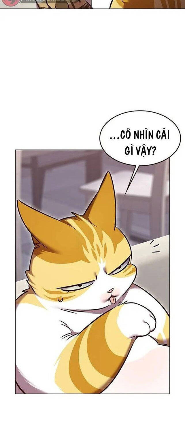 Hoá Thân Thành Mèo Chap 308 - Next Chap 309