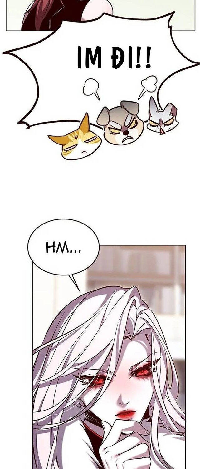 Hoá Thân Thành Mèo Chap 308 - Next Chap 309