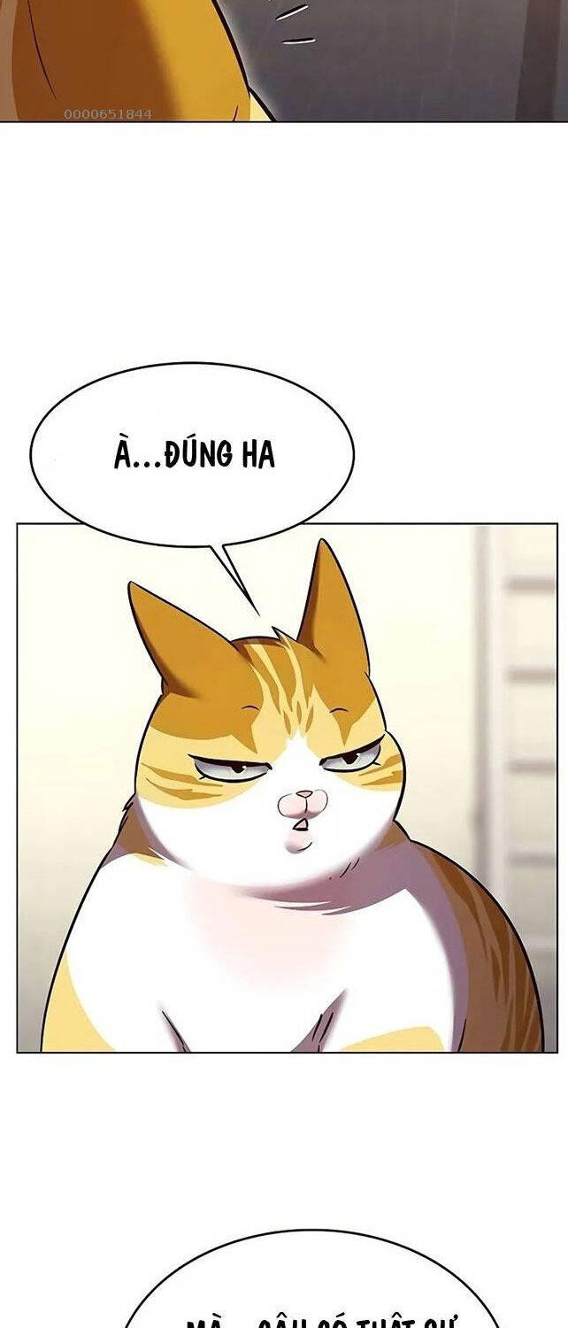 Hoá Thân Thành Mèo Chap 309 - Next Chap 310