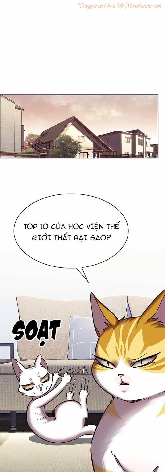 Hoá Thân Thành Mèo Chap 240 - Next Chap 241