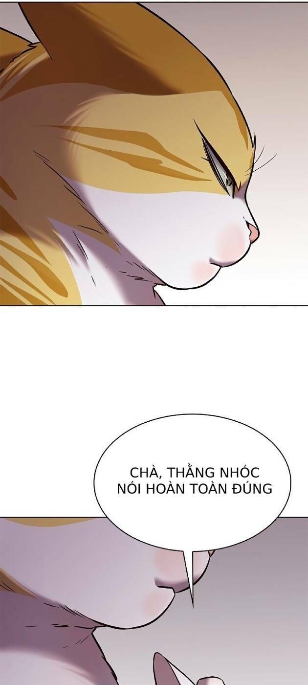 Hoá Thân Thành Mèo Chap 241 - Next Chap 242