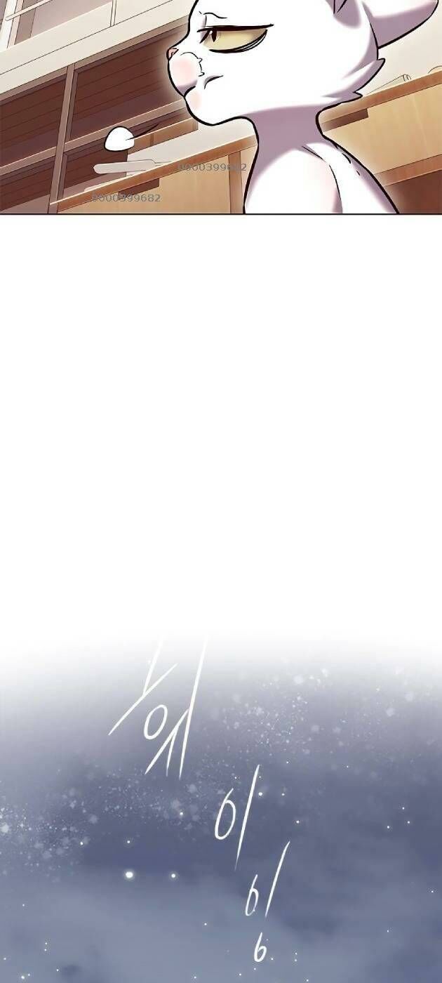 Hoá Thân Thành Mèo Chap 241 - Next Chap 242