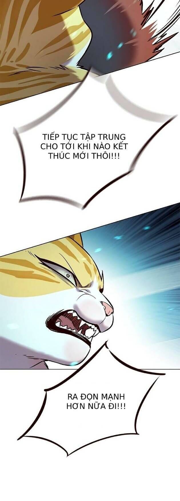 Hoá Thân Thành Mèo Chap 241 - Next Chap 242