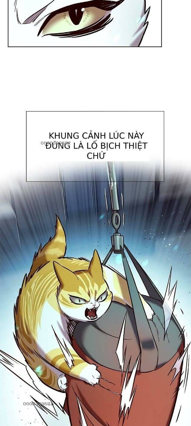Hoá Thân Thành Mèo Chap 241 - Next Chap 242