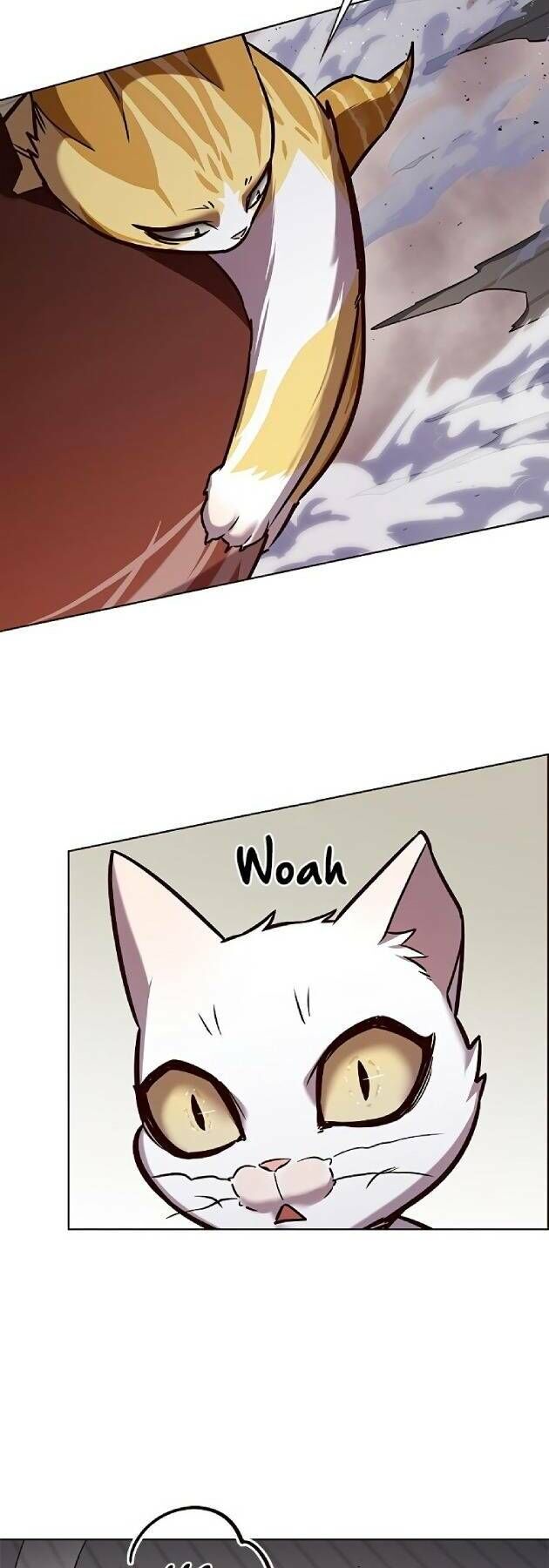 Hoá Thân Thành Mèo Chap 241 - Next Chap 242