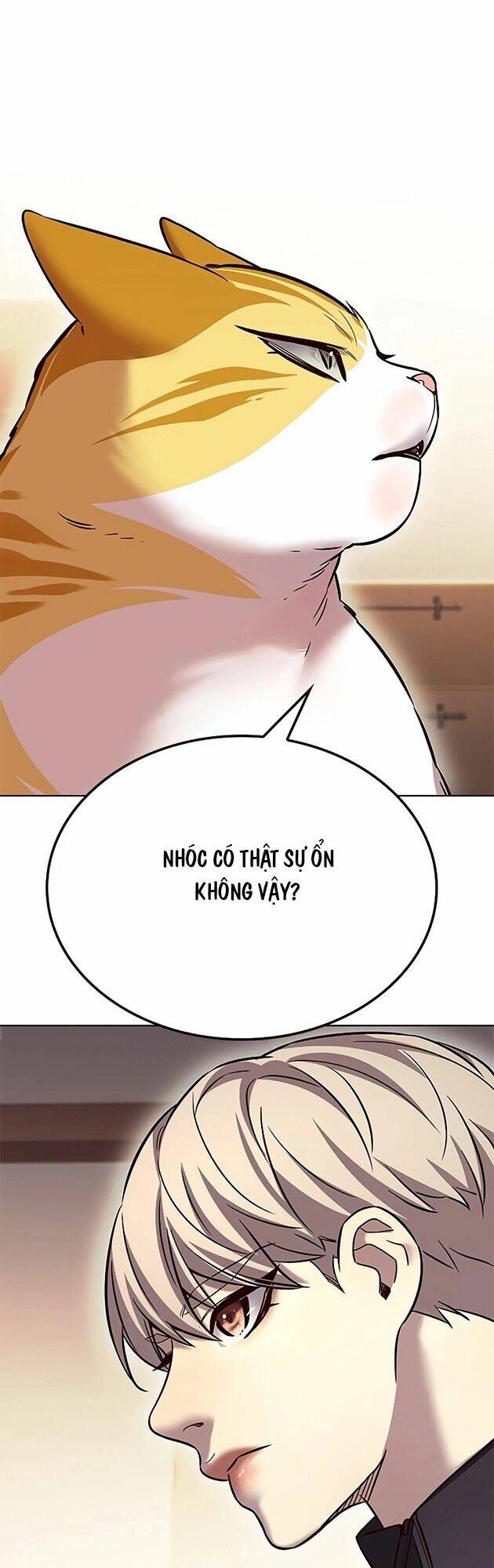Hoá Thân Thành Mèo Chap 242 - Next Chap 243