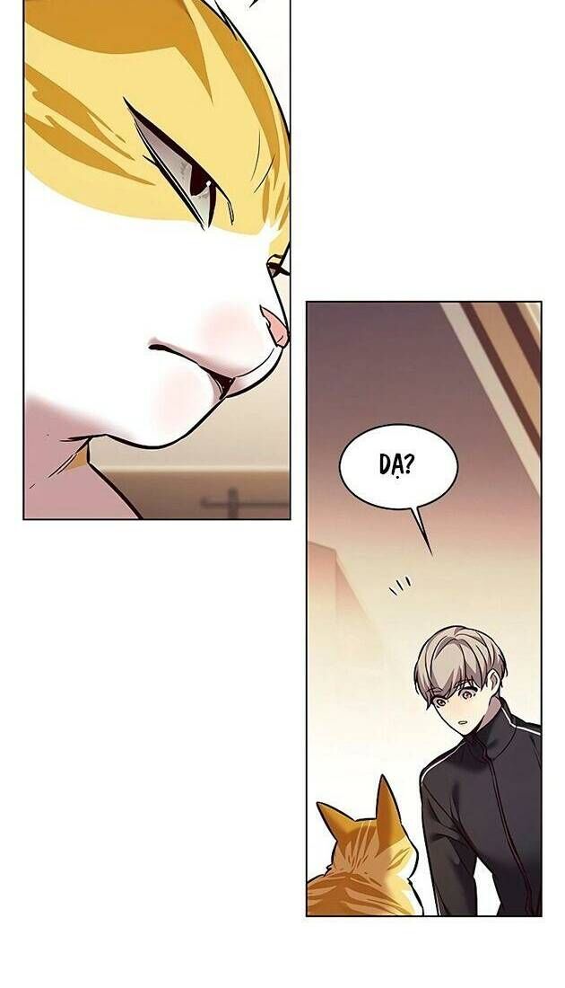 Hoá Thân Thành Mèo Chap 242 - Next Chap 243