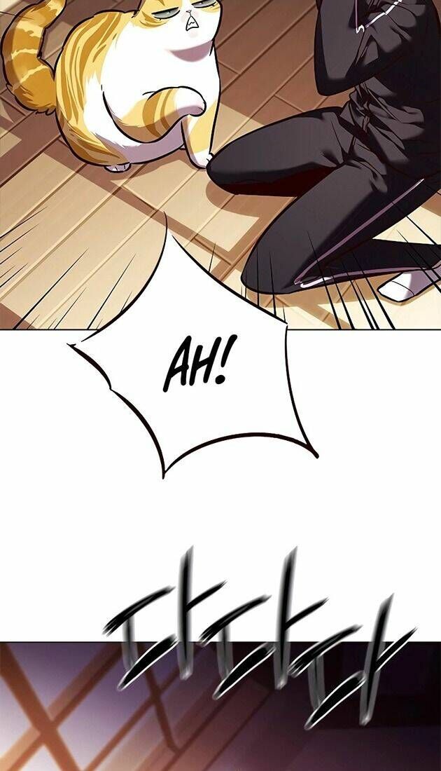 Hoá Thân Thành Mèo Chap 242 - Next Chap 243