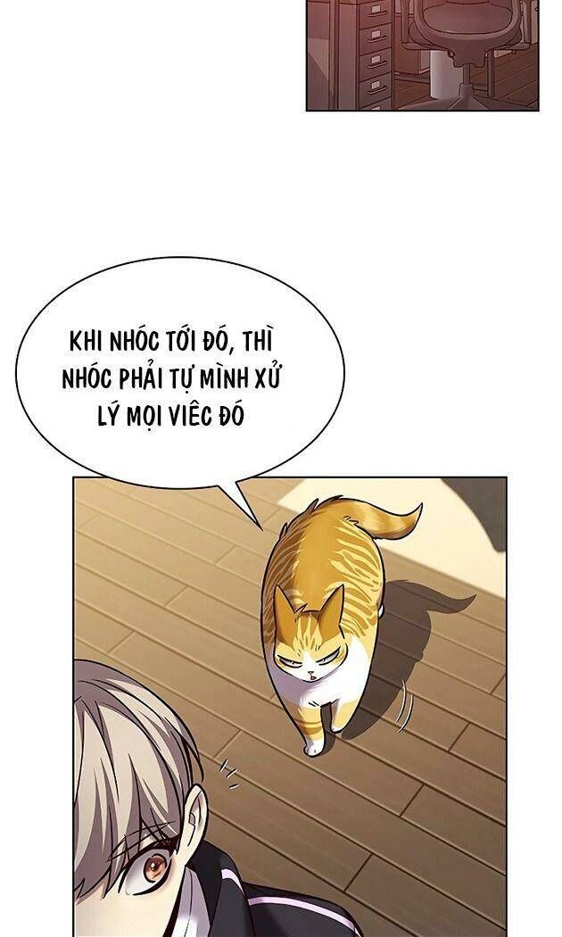 Hoá Thân Thành Mèo Chap 242 - Next Chap 243