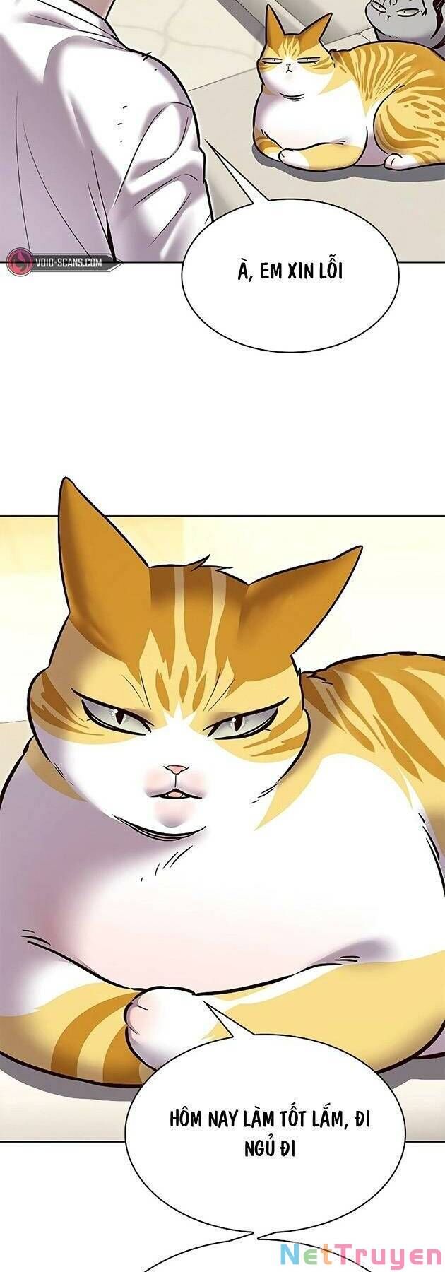 Hoá Thân Thành Mèo Chap 243 - Next Chap 244