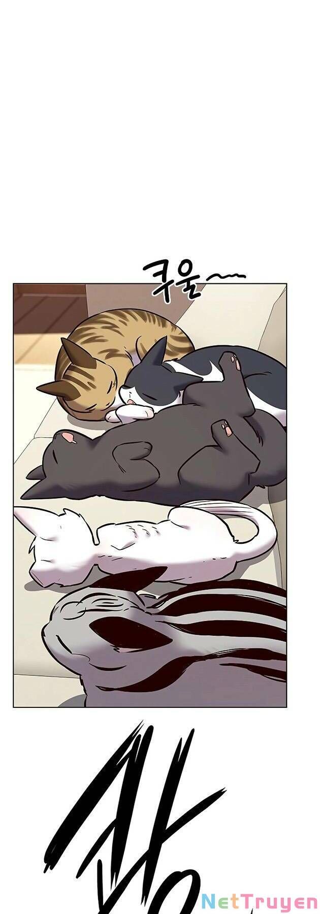Hoá Thân Thành Mèo Chap 243 - Next Chap 244