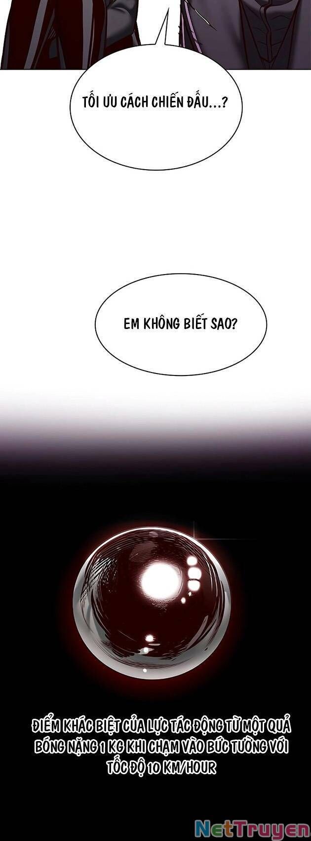 Hoá Thân Thành Mèo Chap 243 - Next Chap 244