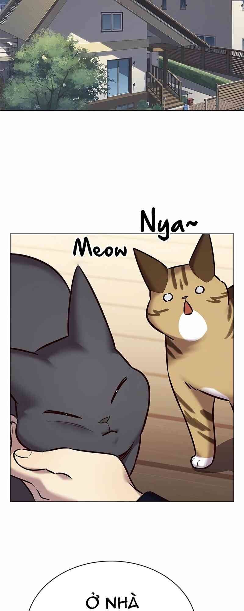 Hoá Thân Thành Mèo Chap 244 - Next Chap 245