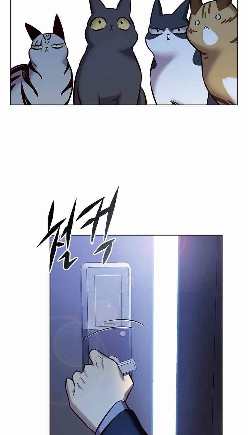 Hoá Thân Thành Mèo Chap 244 - Next Chap 245