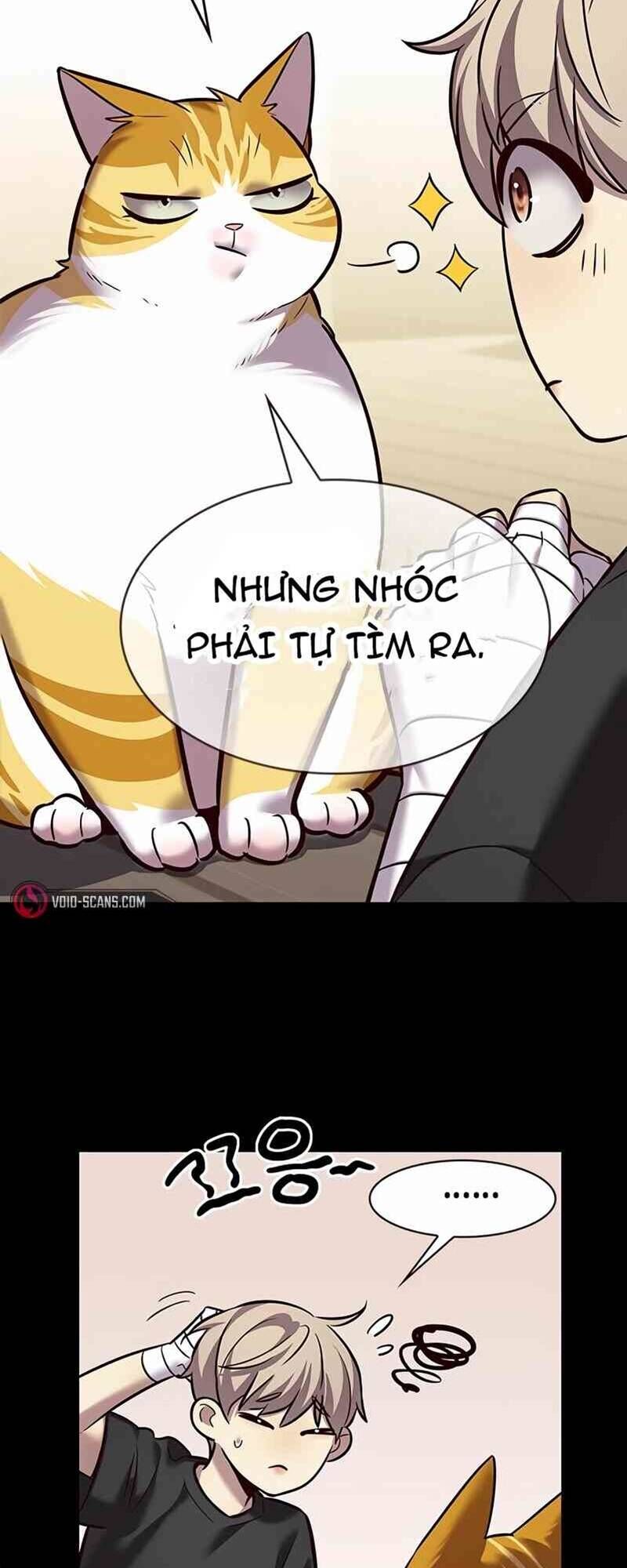 Hoá Thân Thành Mèo Chap 244 - Next Chap 245