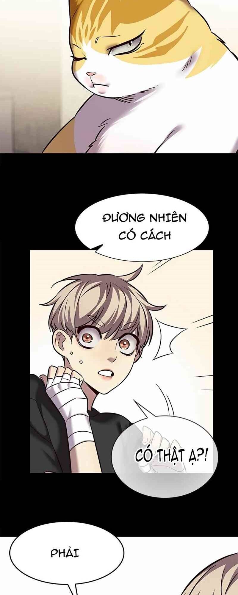 Hoá Thân Thành Mèo Chap 244 - Next Chap 245