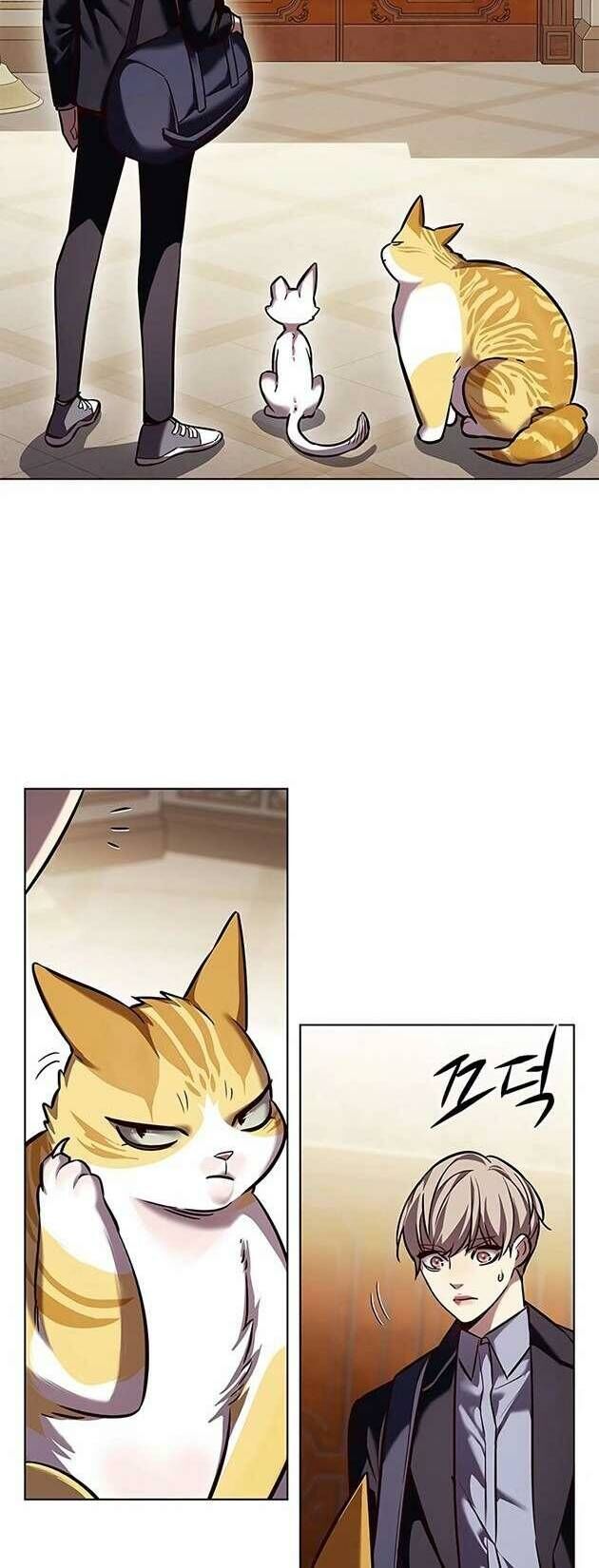 Hoá Thân Thành Mèo Chap 245 - Next Chap 246