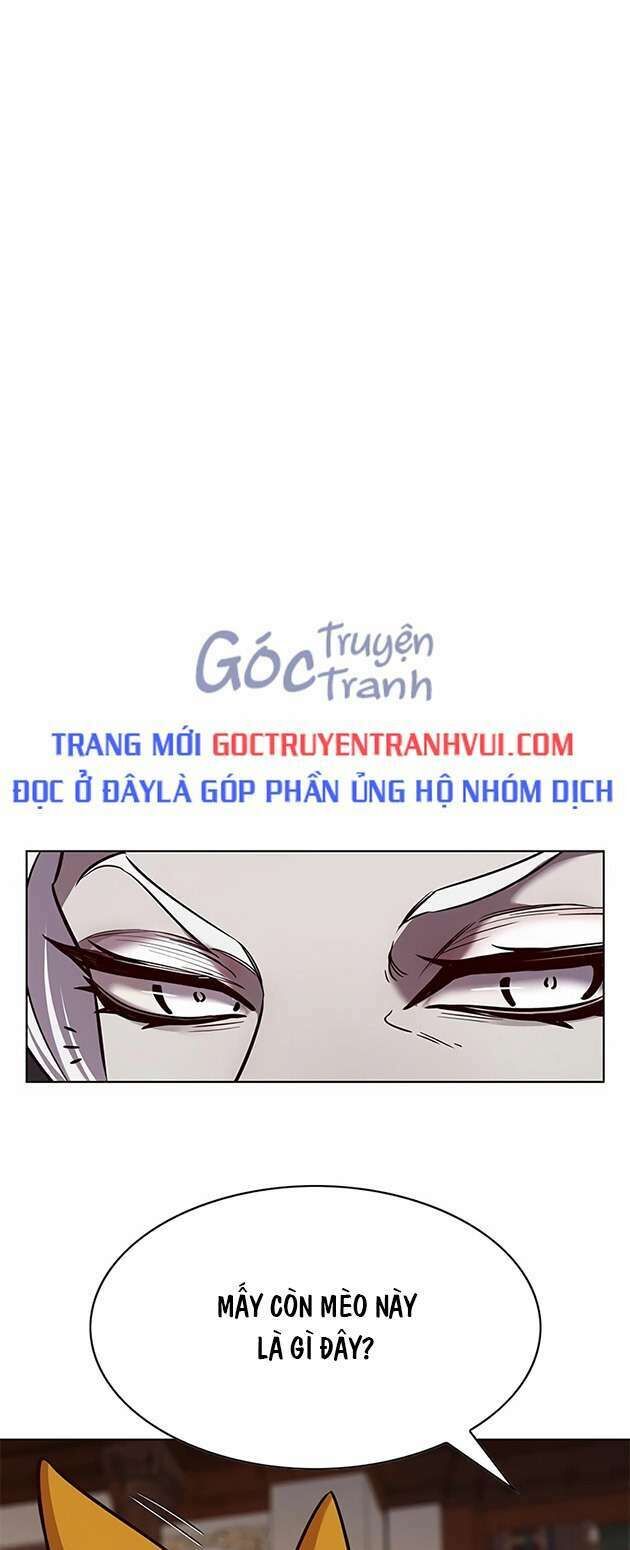 Hoá Thân Thành Mèo Chap 246 - Next Chap 247