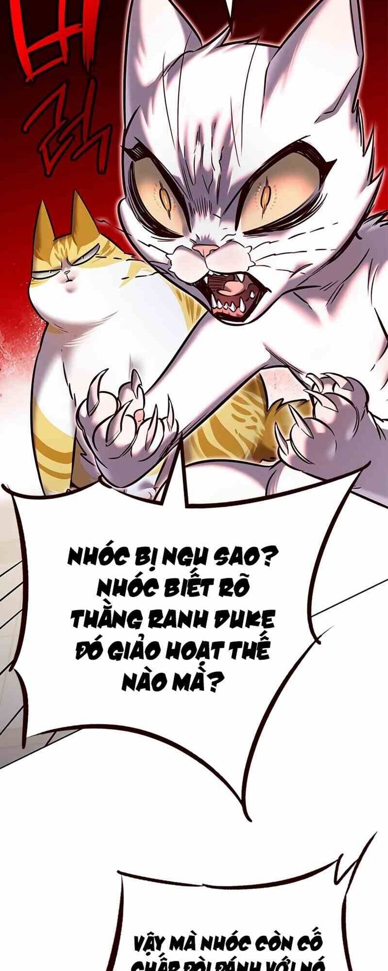 Hoá Thân Thành Mèo Chap 249 - Next Chap 250