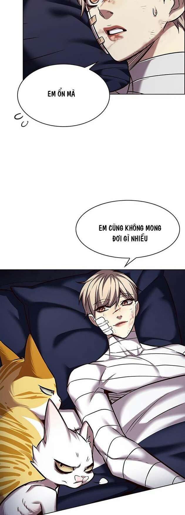 Hoá Thân Thành Mèo Chap 253 - Next Chap 254