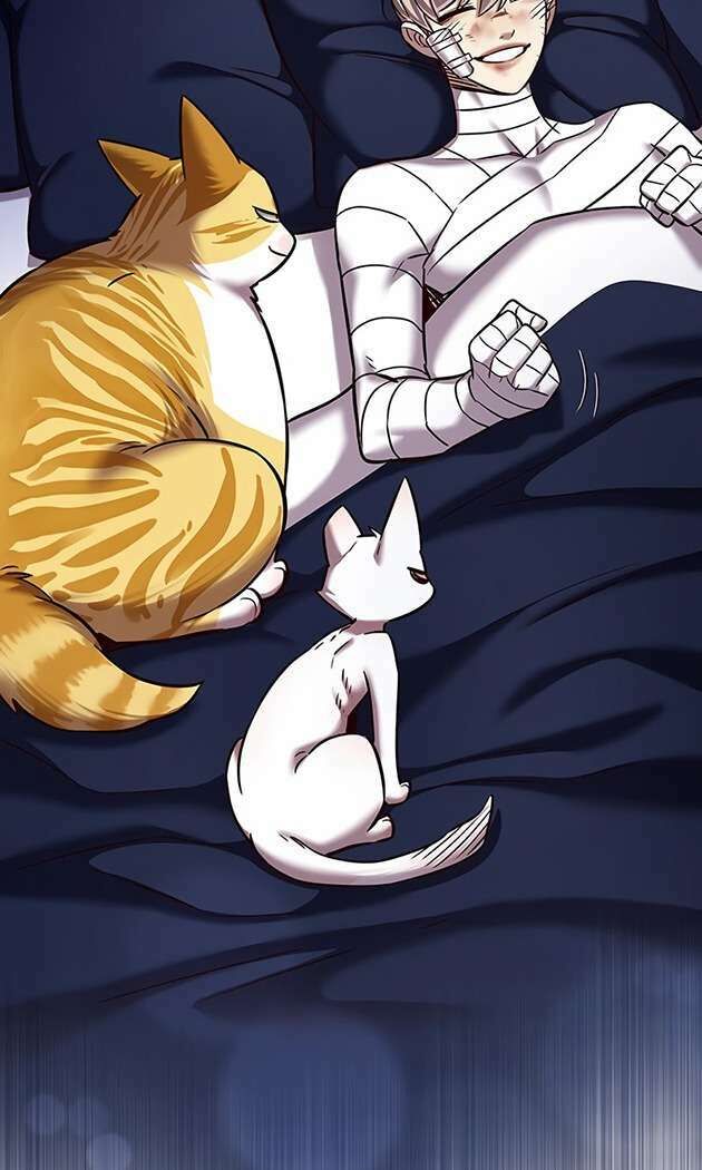 Hoá Thân Thành Mèo Chap 253 - Next Chap 254