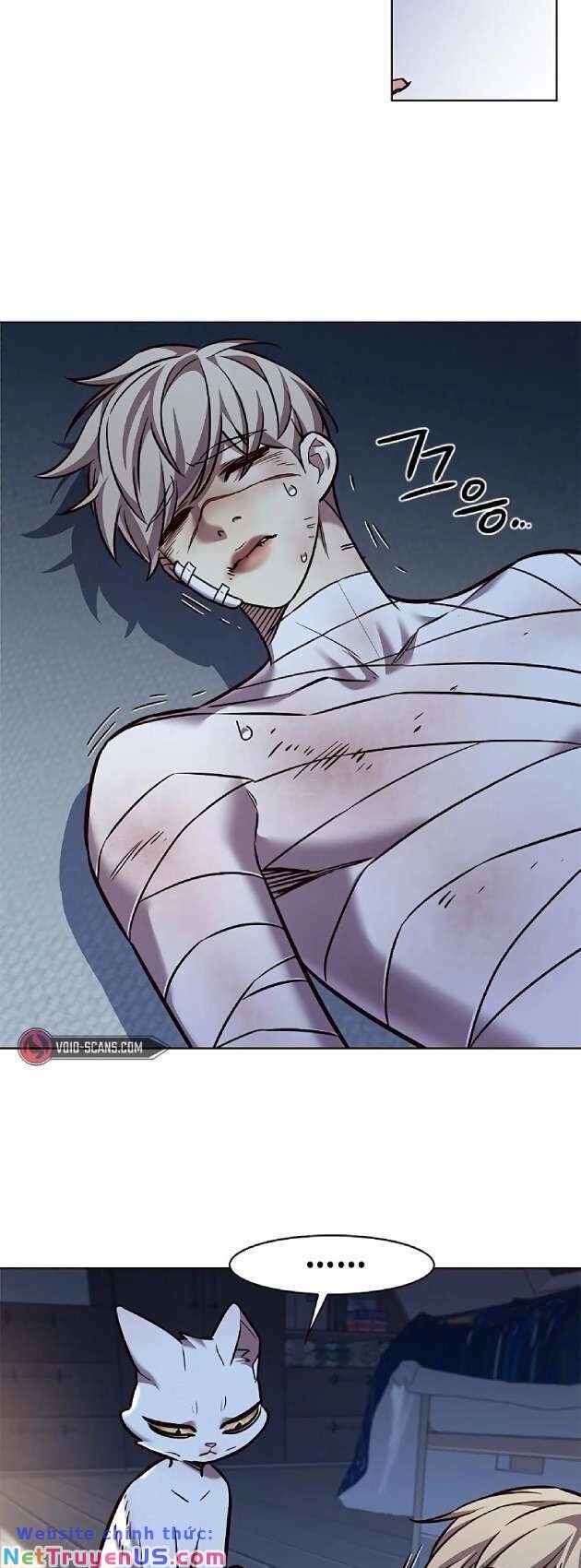 Hoá Thân Thành Mèo Chap 262 - Next Chap 263