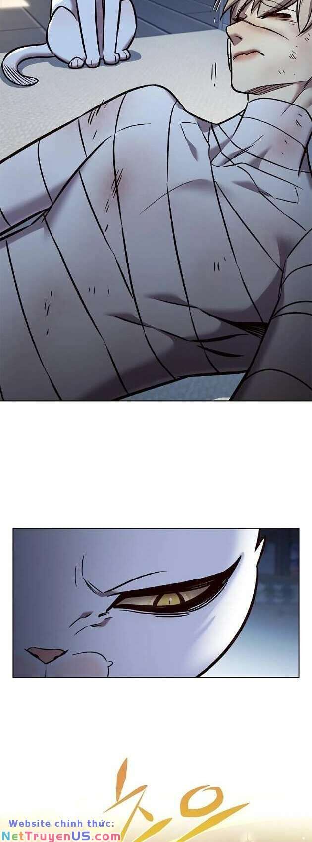 Hoá Thân Thành Mèo Chap 262 - Next Chap 263