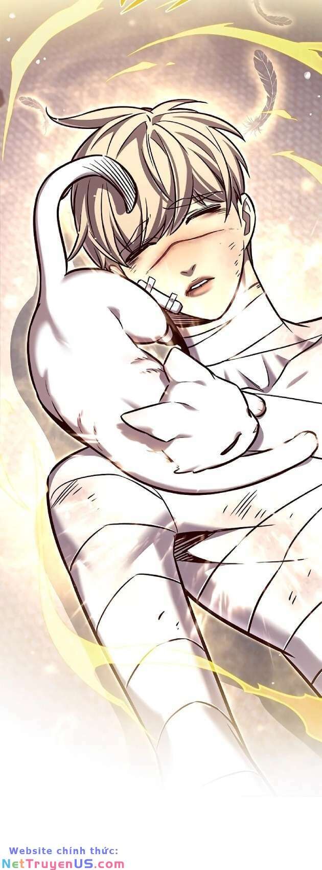 Hoá Thân Thành Mèo Chap 262 - Next Chap 263