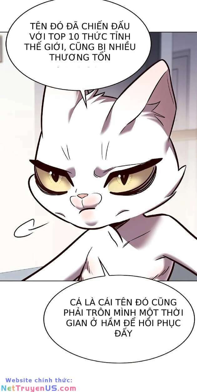 Hoá Thân Thành Mèo Chap 263 - Next Chap 264