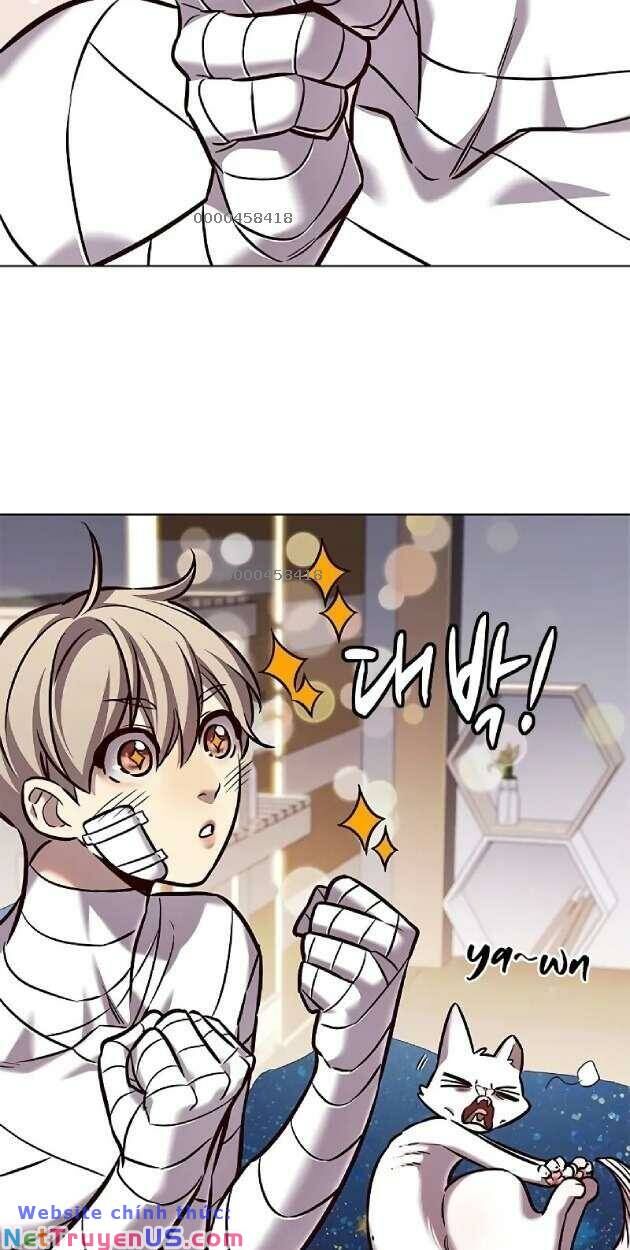 Hoá Thân Thành Mèo Chap 263 - Next Chap 264
