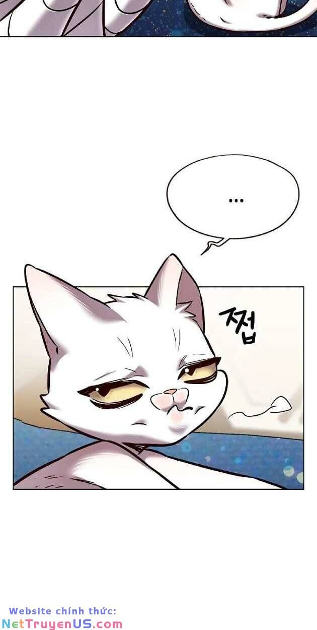 Hoá Thân Thành Mèo Chap 263 - Next Chap 264