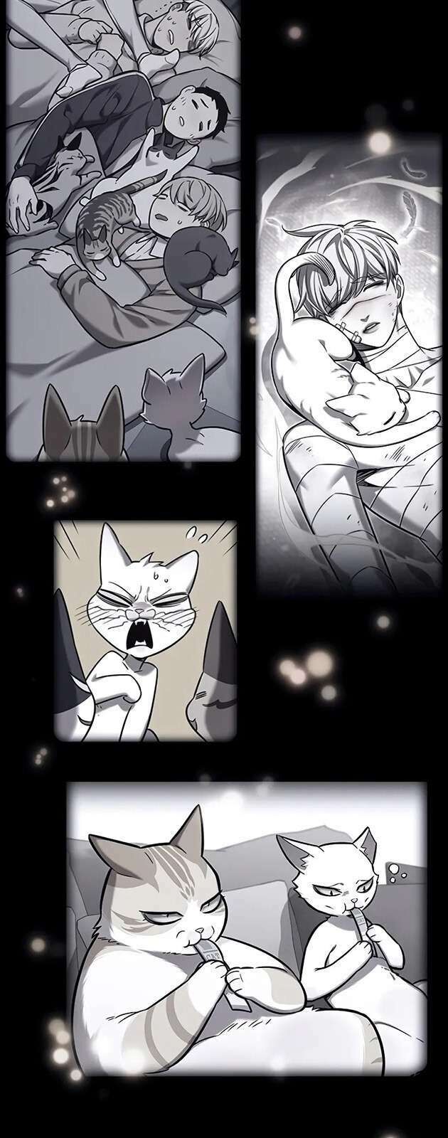 Hoá Thân Thành Mèo Chap 270 - Next Chap 271