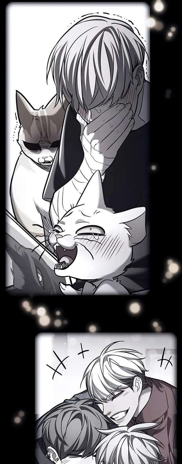 Hoá Thân Thành Mèo Chap 270 - Next Chap 271