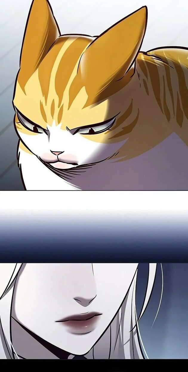 Hoá Thân Thành Mèo Chap 270 - Next Chap 271