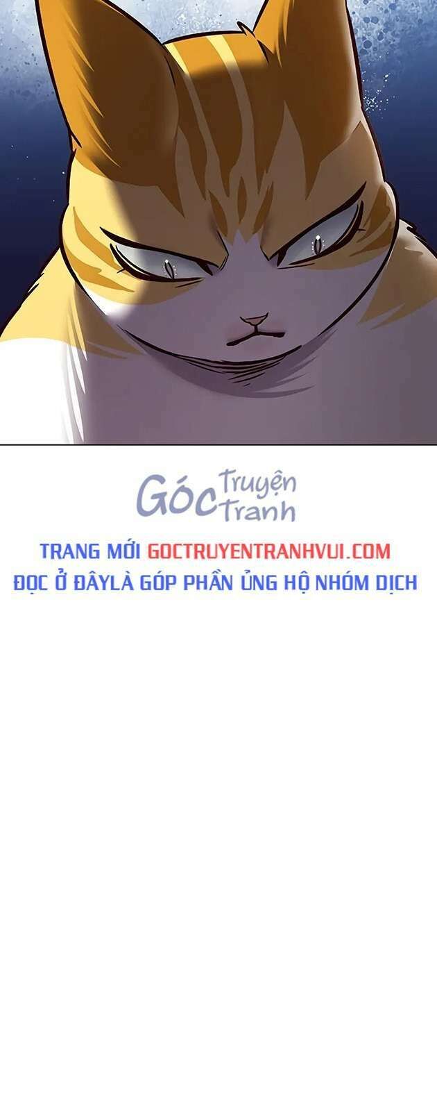 Hoá Thân Thành Mèo Chap 270 - Next Chap 271