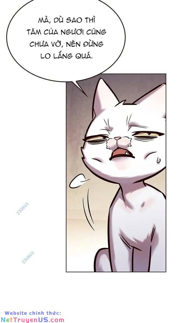 Hoá Thân Thành Mèo Chap 275 - Next Chap 276