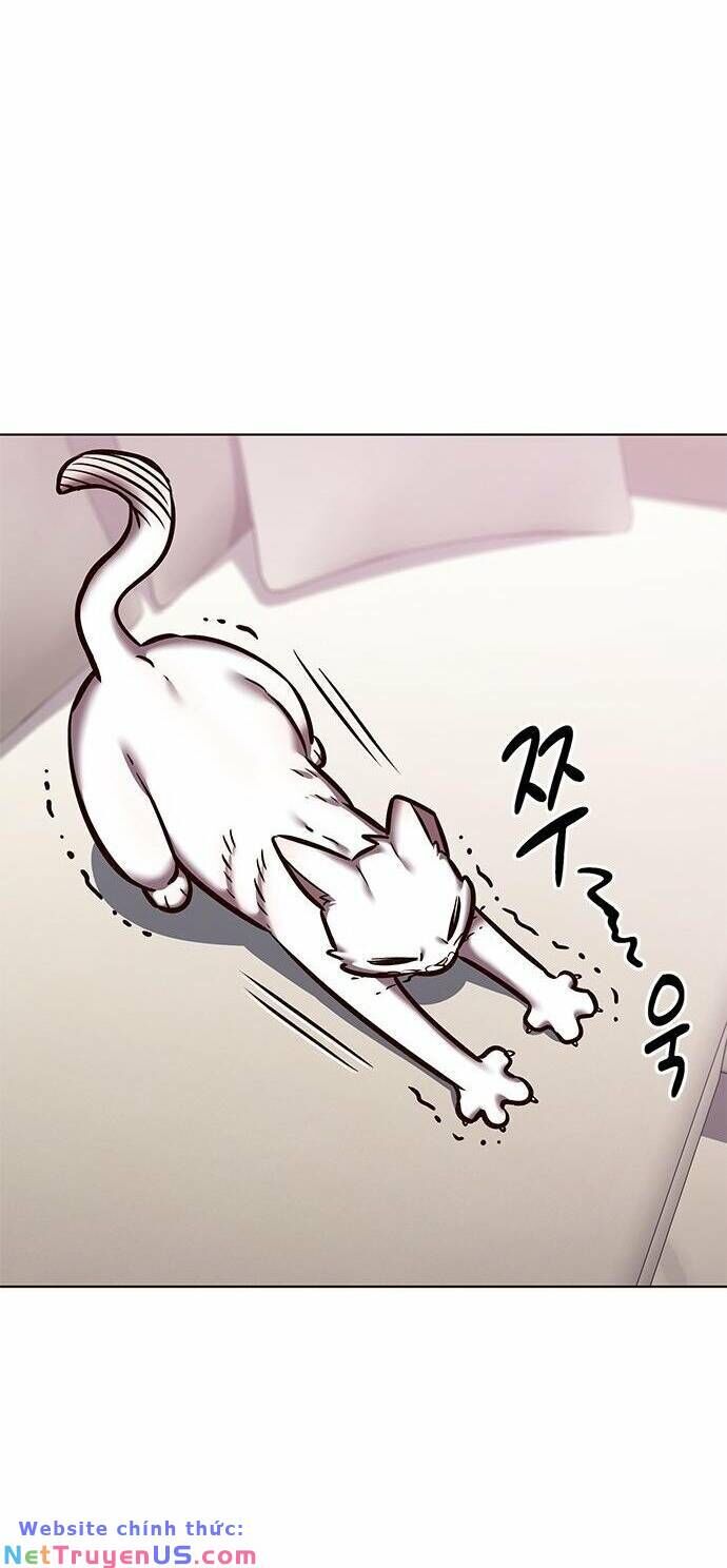 Hoá Thân Thành Mèo Chap 275 - Next Chap 276