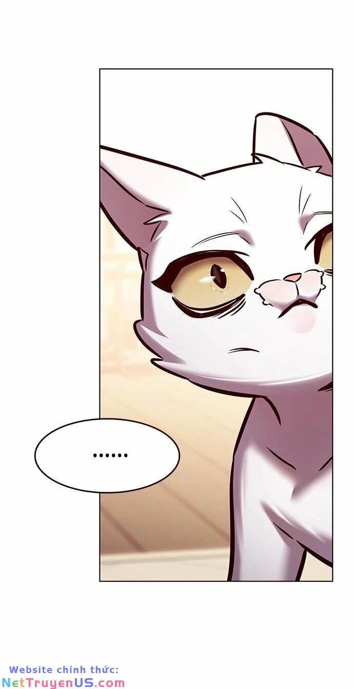 Hoá Thân Thành Mèo Chap 275 - Next Chap 276