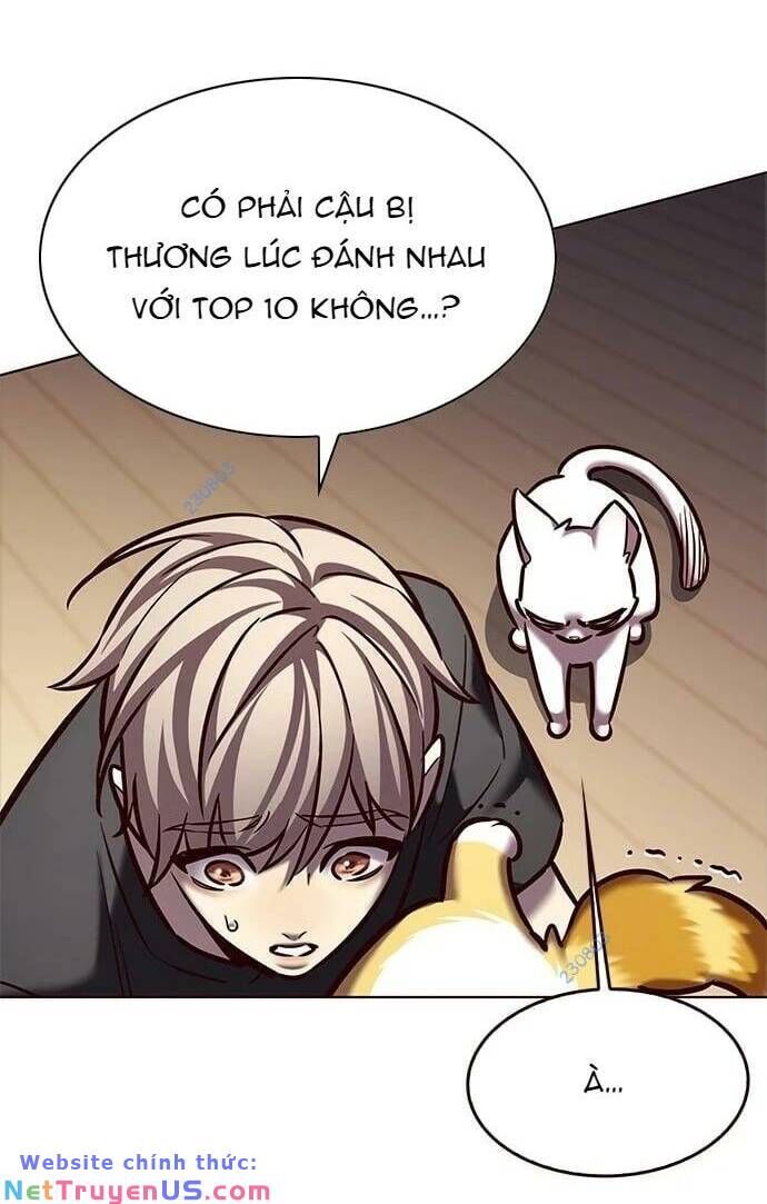Hoá Thân Thành Mèo Chap 275 - Next Chap 276