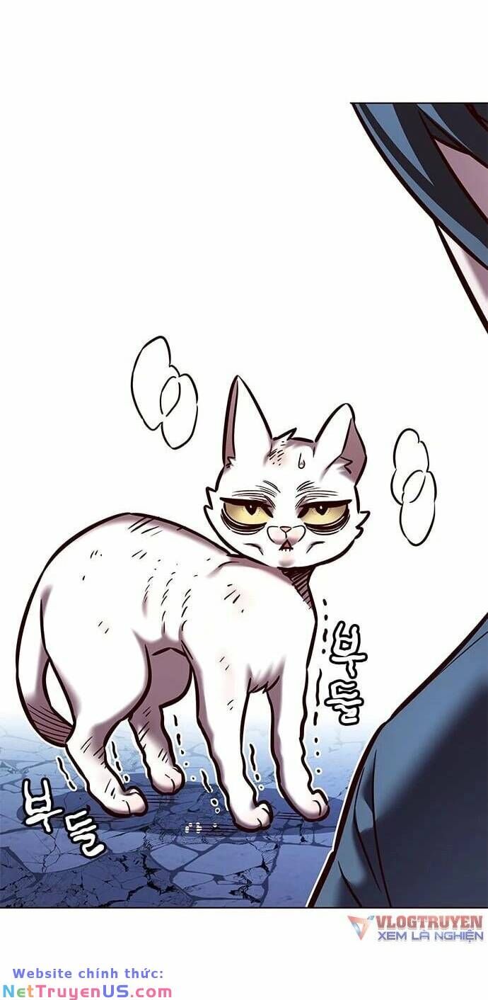 Hoá Thân Thành Mèo Chap 275 - Next Chap 276