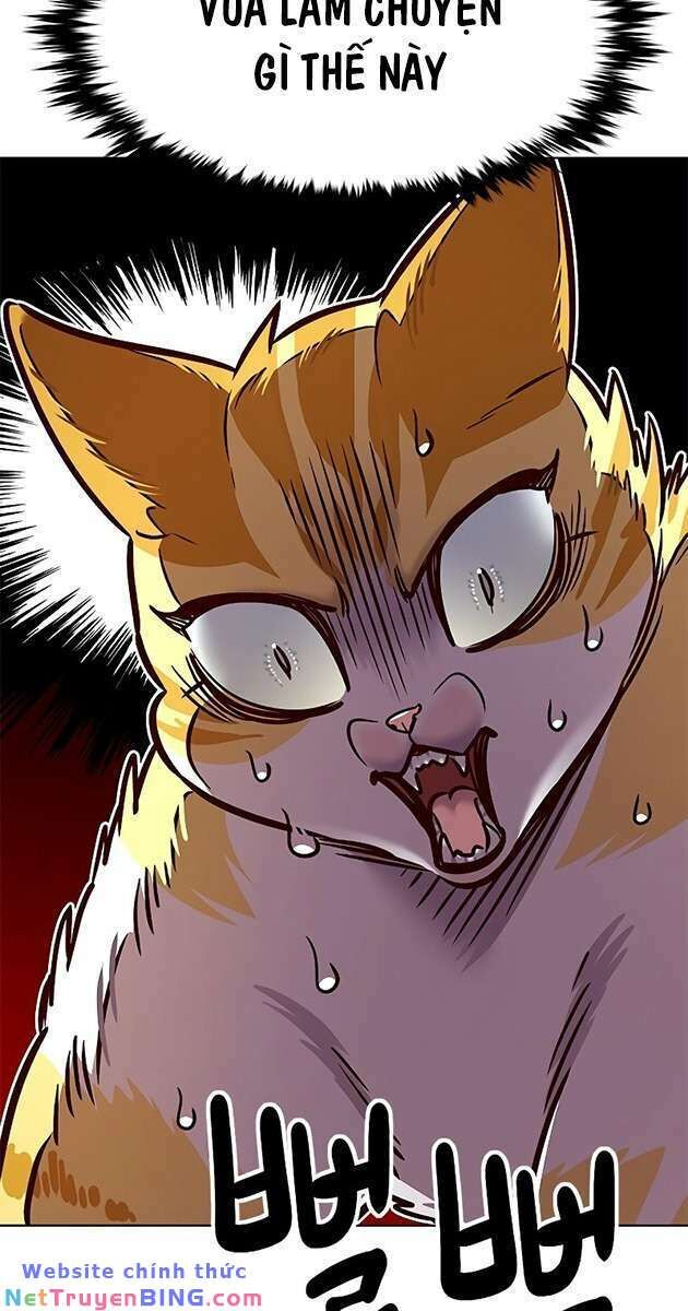 Hoá Thân Thành Mèo Chap 278 - Next Chap 279