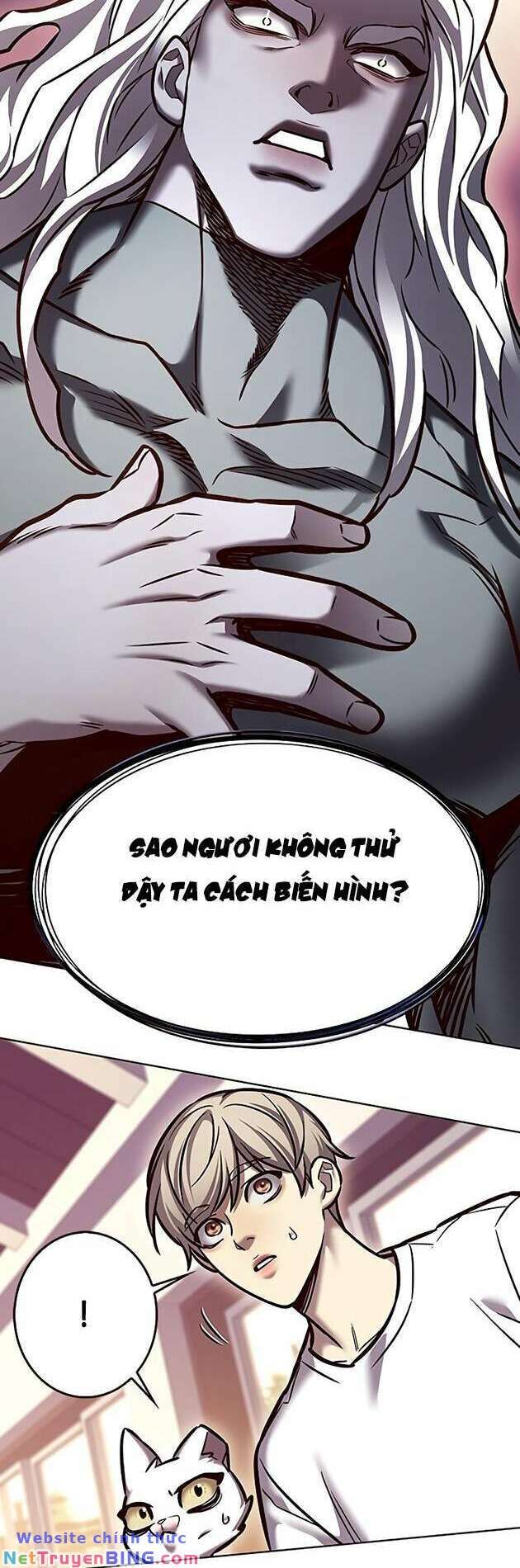 Hoá Thân Thành Mèo Chap 278 - Next Chap 279