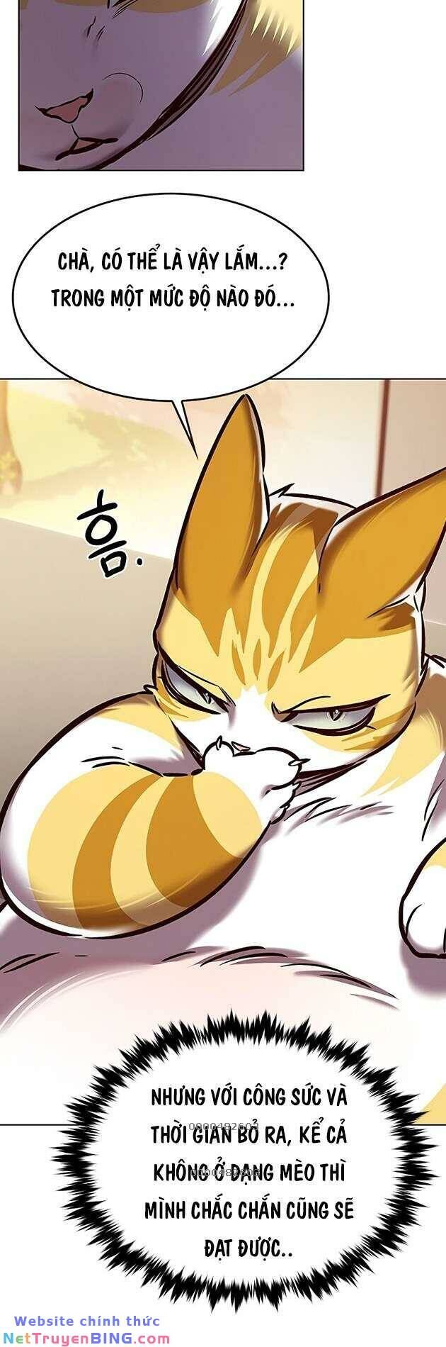 Hoá Thân Thành Mèo Chap 278 - Next Chap 279