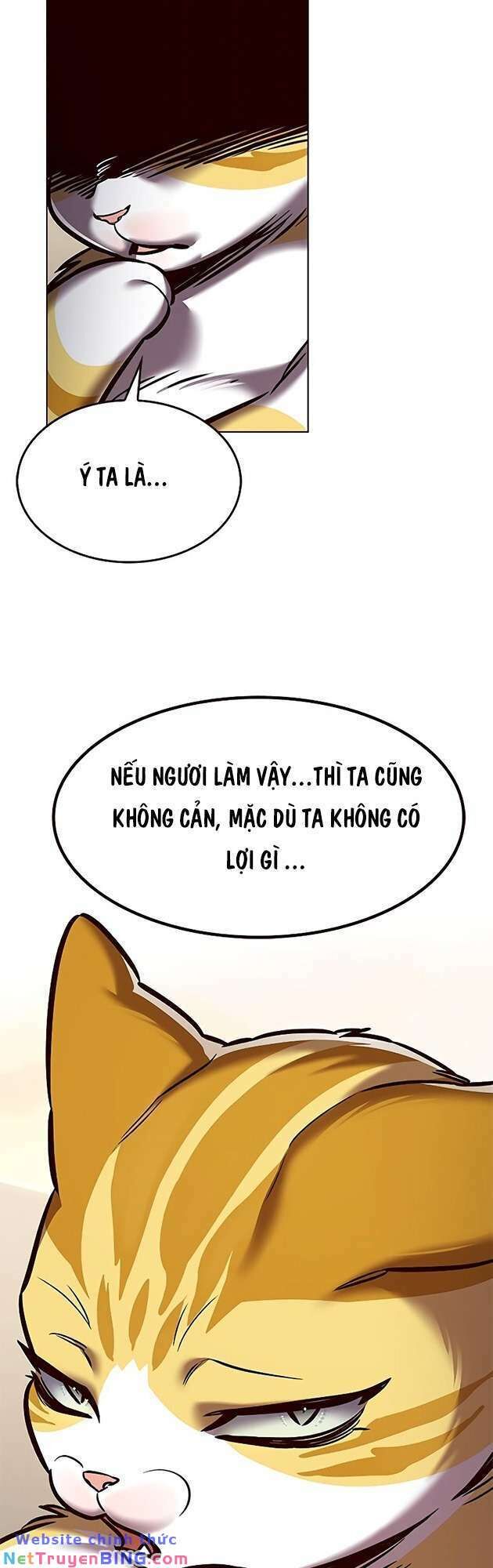 Hoá Thân Thành Mèo Chap 278 - Next Chap 279