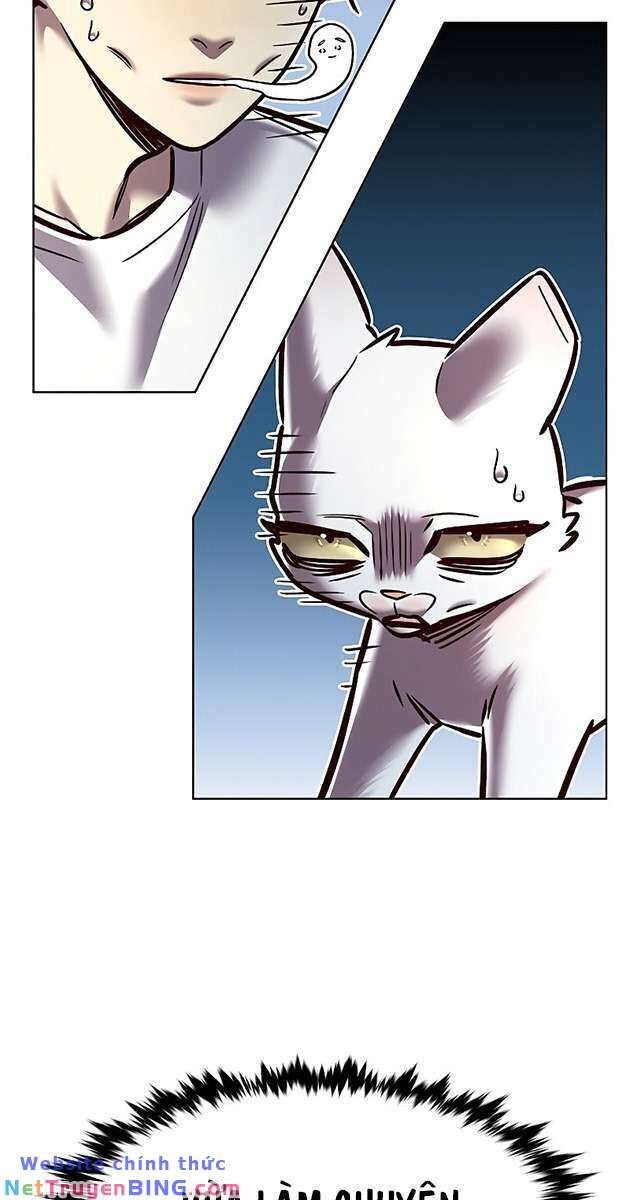 Hoá Thân Thành Mèo Chap 278 - Next Chap 279